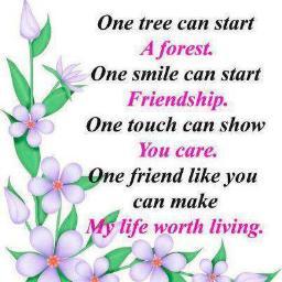 MupoladiIrene's profile picture. 