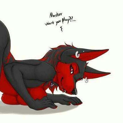 wolf_kaira's profile picture. I'm Kiara I'm one who likes to play around and I enjoy swimming #mated to @FiroValentine #18+ dms master/boss: @Kittys_Puppy