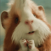 电网呆萌鼠 (@ladaobani) Twitter profile photo 电网呆萌鼠 (@ladaobani) Twitter profile photo