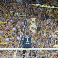 Alan Ferreira (@alandarolt) 's Twitter Profile