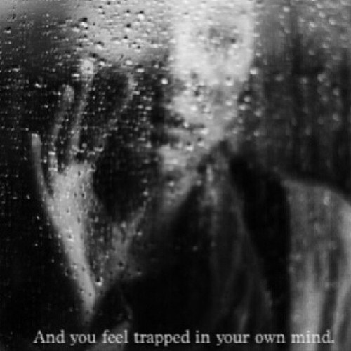Depression has ruined my life. I'm too fat to have an eating disorder. Self-harm is my escape. Bands are keeping me alive. MCR will always be my heroes.