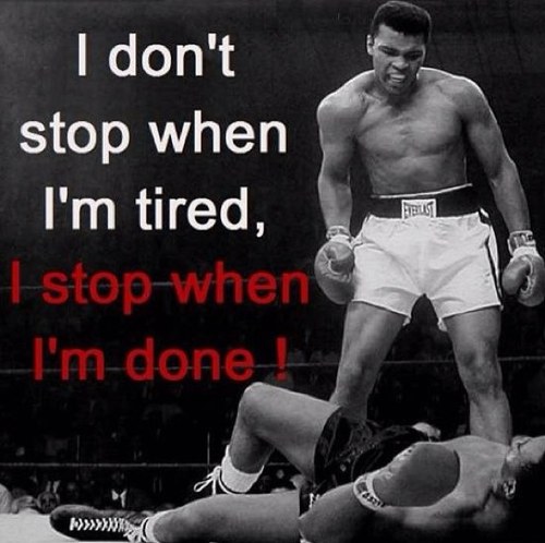 Moshkilah's profile picture. 