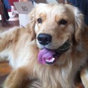 Keith Boylan - @mrboylan216 - Twitter