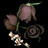 rajendusx's profile image