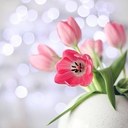 تويتر الابداع (@599Ggh) Twitter