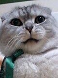 料理とか読書とか。