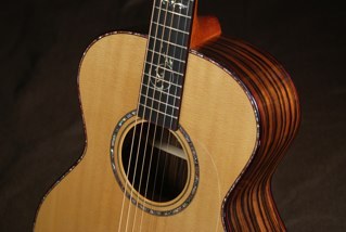 Guitar player,guitar lover,acoustic band.