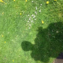 ChristineAllui1's profile picture. Recruiting Geniuses...