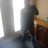 MME_LILTEZ's profile image