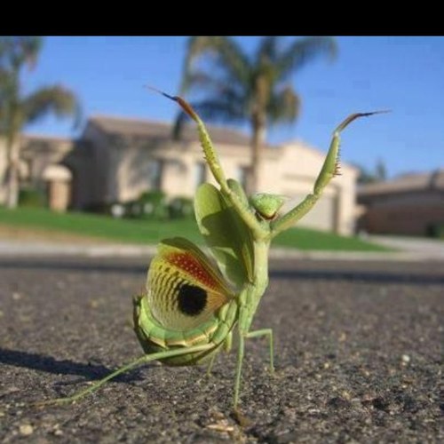 jnet2330's profile picture. 