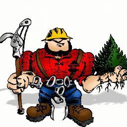 TreemendousJM's profile picture. 