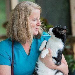 Committed to holistic pet care, empowering others through my healing and training program, and creator of The Original CrockPET Diet.