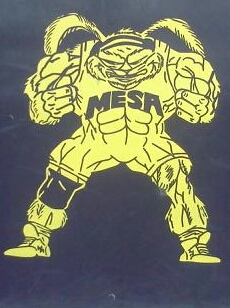 MesaWrestling Profile Picture