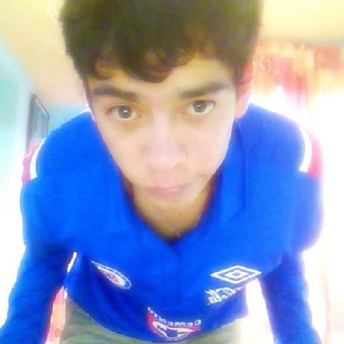 abztracto's profile picture. perro callejero