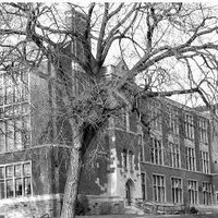 Ursula Franklin Academy (@ufaofficeinfo) 's Twitter Profile