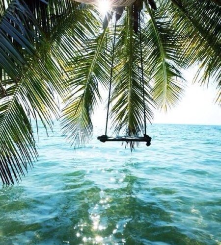 Mrblubbermac2's profile picture. Love life