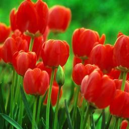 Marisgamadf's profile picture. me segue que eu te conto haha.