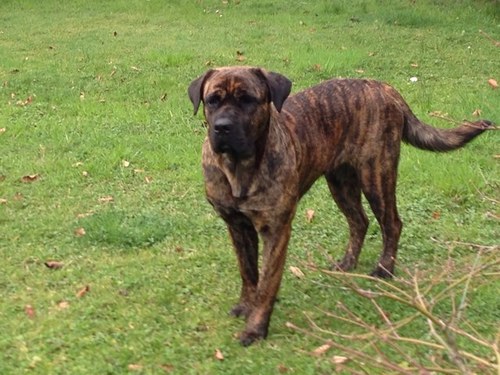 StefanoBin74's profile picture. 