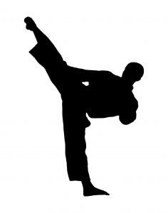 shotokan karate ArsenalSurely