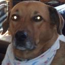 John Alto - @KBIL4068 - Twitter