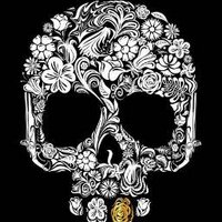 El Hefe Chicago (@elhefe_chicago) 's Twitter Profile