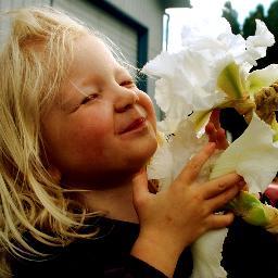 GreenZenProject's profile picture. Artist; painter/photographer/glass. Volunteer at Pacific Green Party of Oregon. http://t.co/ioKPs3XP9p