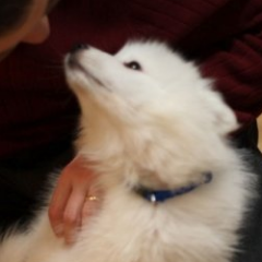 andrewd_ward's profile picture. 