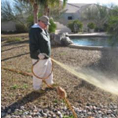 C4Weedcontrol's profile picture. A native of Arizona, owner Steve Coughlin graduated from ASU with a bachelors degree in Agri-business. With 20 years of agriculture experience, we are the best.