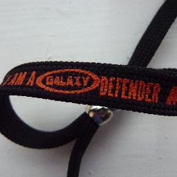 Bubbleraptor's profile picture. 