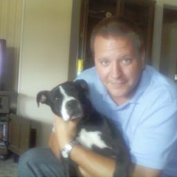 babmark's profile picture. 