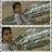 Profile Picture of عواطف البدراني (@ShermanMoody2) on Twitter