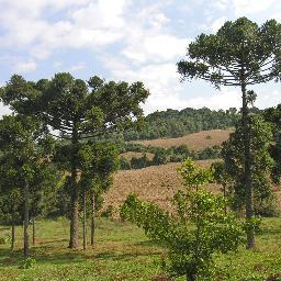 Helping to Transfer and to Share Knowledge and Practical Experiences about Forestry and Wood-based Industries to Stakeholders from Global Society