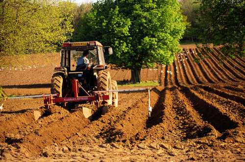 Sector primario (agricultura) es una de las principales fuentes de ingresos economicos que mueve al pais. Apoyemos al campo!!!!