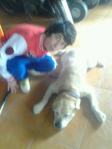 juancarlosnavei's profile picture. 