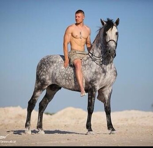 PaardenMeisjes Profile Picture