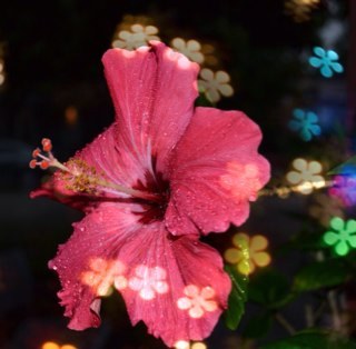 pinaygyrljax's profile picture. Just me