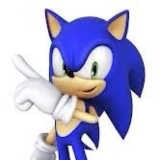 Sonicthe hedgehog married to kris ,kids:speedy,lightning,sohfiy,jAson and lil baby kate u can talk ,play with them but hurt them and your toast