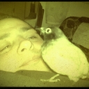 nabil azzam - @nsa76h - Twitter