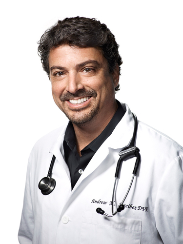 E_S_A_H's profile picture. Owner and Medical Director, El Segundo Animal Hospital