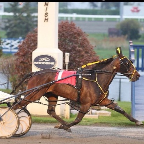 seajay09's profile picture. 