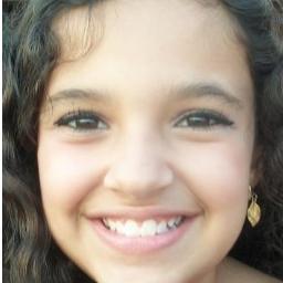 Directioneer s2