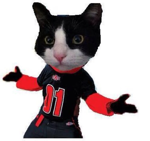 ButtonsthePitty's profile picture. I am a 2 yr old tuxedo kitty. I enjoy chasing the evil red dot and laying around with my hoomans. Proud member of The Tuxedo Club #blackandwhitearmy #southmeow