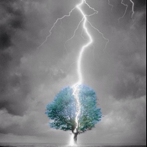 csleater's profile picture. 