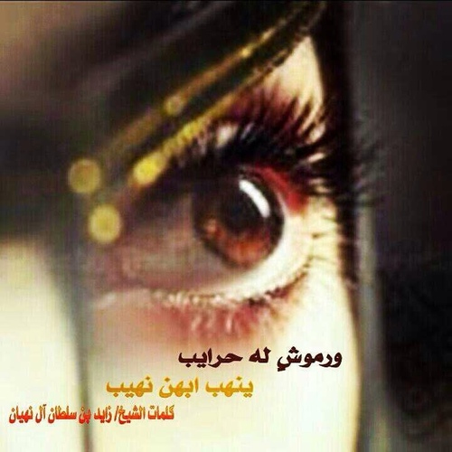 SAlflasi_'s profile picture. والله بسوي فولو حق @SAlflasi_ يلا حلفت سو فولو بالزين