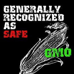 If #BigGov says its Generally Recognized as Safe (#GRaS), it probably isn't. #BigAg #BigPharma #BigFood #GMOs #USAinc #Monsanto #FoodSovereignty
