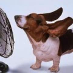 Demona0's profile picture. Me gusta nadar y leer, pero no a la vez.