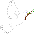 I try to help all kinds of charities and non-profit organisations to find good samaritans