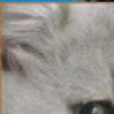 سيلينا - @ClarissaWall10 - Twitter