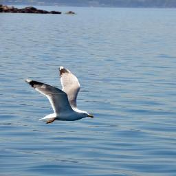 surgeonEA's profile picture. Yard.doç. şimdilik ;)