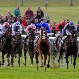 Horse racing enthusiast and amateur tipster. Enjoy a flutter. My tips are my bets.